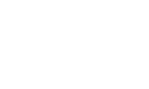 Bridgeflow-w1